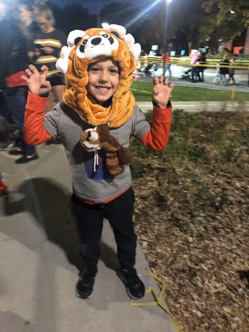 Red panda
